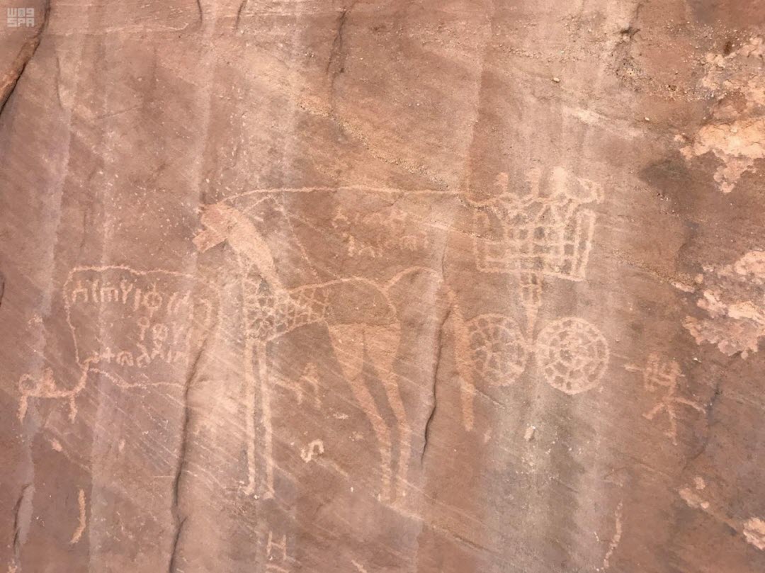 سعودي يوثق 1000 صورة للنقوش الأثرية في «تيماء»